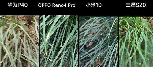 国产aqp猛草免费视频,免费视频带你领略极致激情