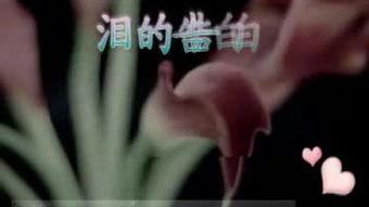 国产粗口对白免费视频,辣味十足，笑料横飞