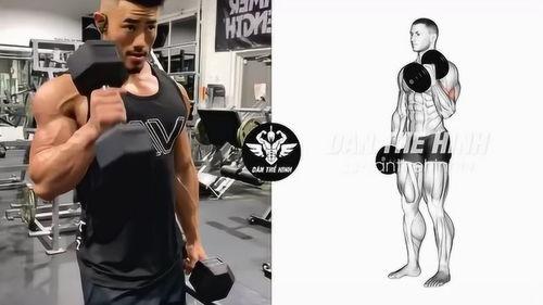 国产麒麟臂视频