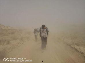 国产免费的野外视频,国产免费野外视频精选集锦