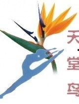 天堂鸟在线视频国产,国产生态纪录片，探寻自然之美